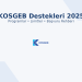 KOSGEB 2025 destekleri rehberi – programlar, limitler ve başvuru şartları.