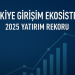 Türkiye girişim ekosistemi 2025 yatırım rekoru – grafik ve yükselen trend çizgisi