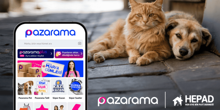 Pazarama ve HEPAD iş birliğiyle sokak hayvanları için başlatılan yardım maması desteği projesi