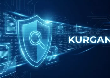 kurgan sistemi vergi denetimi ve risk analizi