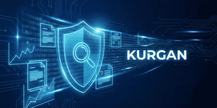 kurgan sistemi vergi denetimi ve risk analizi