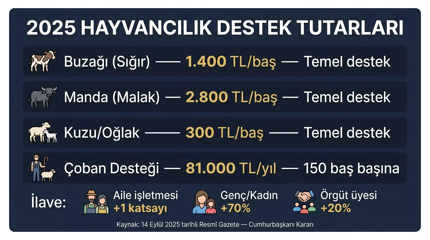 2025 yılı hayvancılık destekleme tutarları — buzağı 1.400 TL, malak 2.800 TL, kuzu/oğlak 300 TL baş başına temel destek