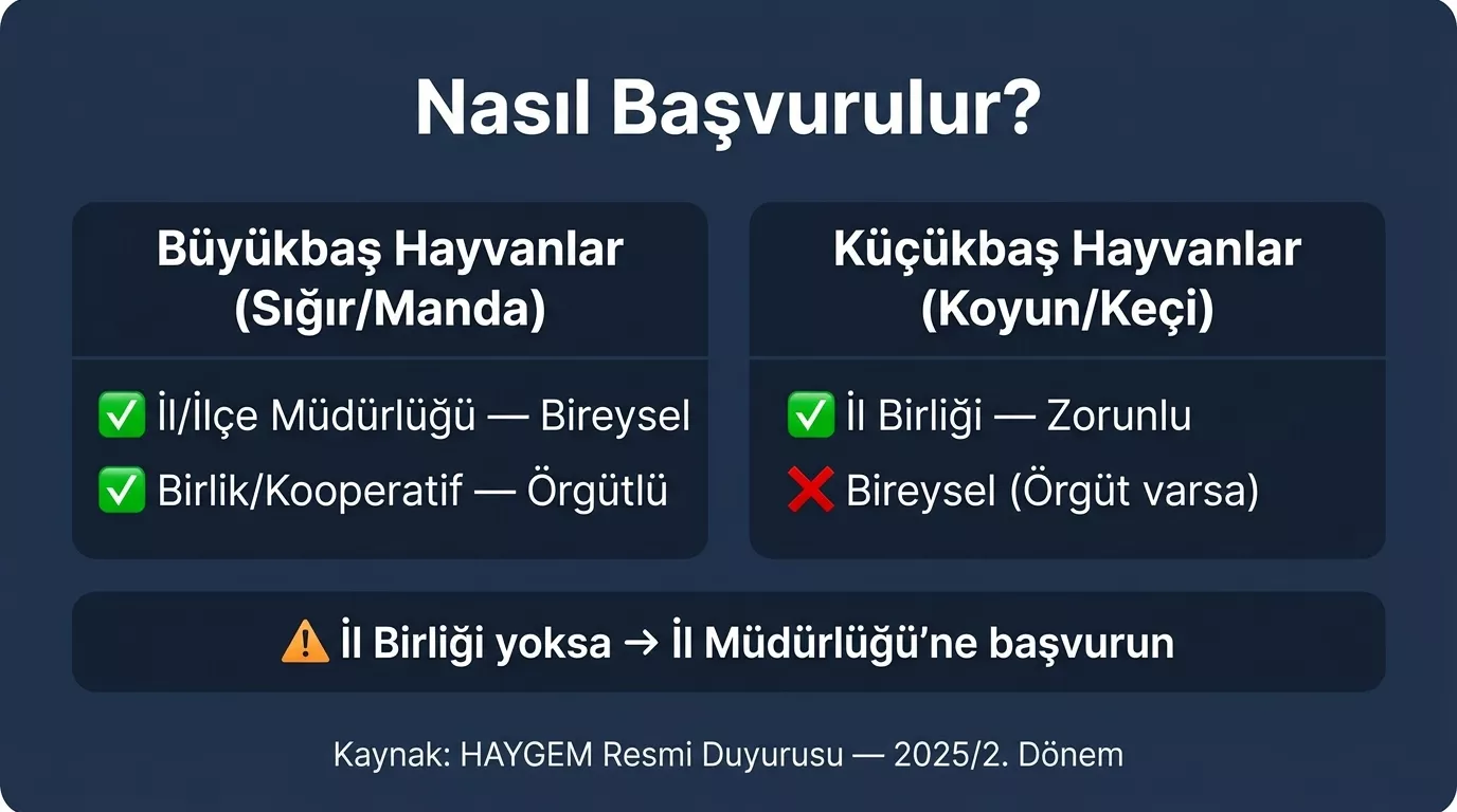 2025 yılı 2. dönem hayvancılık desteklemesi başvuru kanalı karşılaştırması — büyükbaşta bireysel veya örgüt, küçükbaşta il birliği zorunlu