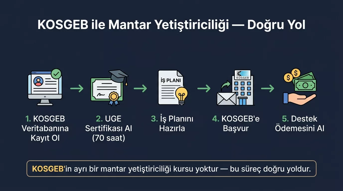 KOSGEB mantar yetiştiriciliği başvuru süreci 2026 — veri tabanı kaydı, UGE sertifikası, iş planı ve destek ödemesi adımları