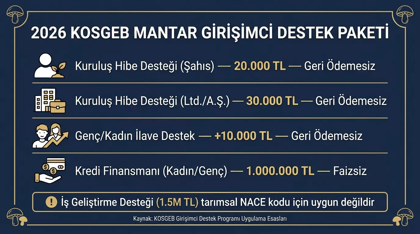 2026 KOSGEB mantar yetiştiriciliği destek limitleri — kuruluş hibesi, genç kadın ek desteği ve kredi finansman tutarları