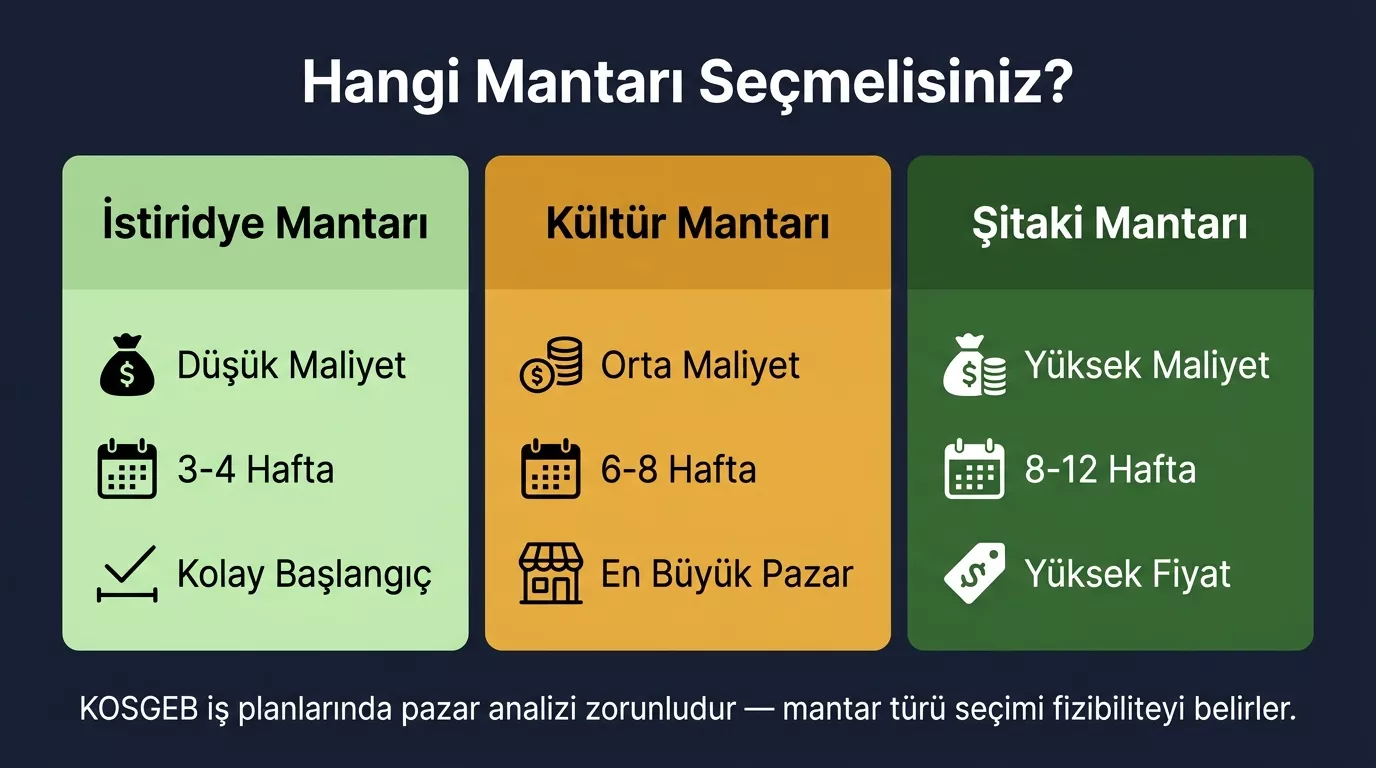 KOSGEB mantar yetiştiriciliği iş planı için mantar türü karşılaştırması 2026 — istiridye, kültür mantarı ve shiitake maliyet ve süre farkları