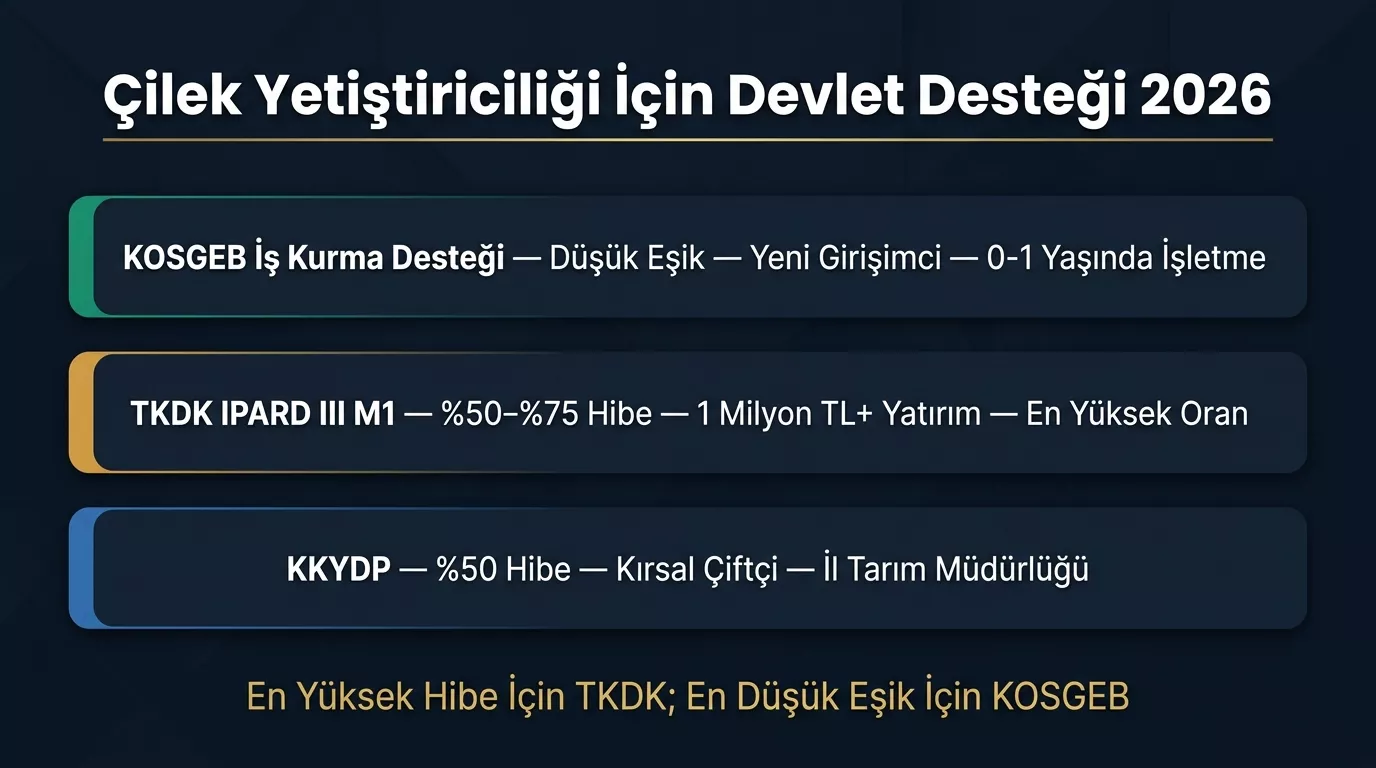 Çilek yetiştiriciliği devlet destekleri 2026 karşılaştırması — KOSGEB iş kurma desteği TKDK IPARD III yüzde 50-75 hibe KKYDP yüzde 50 hibe program farkları