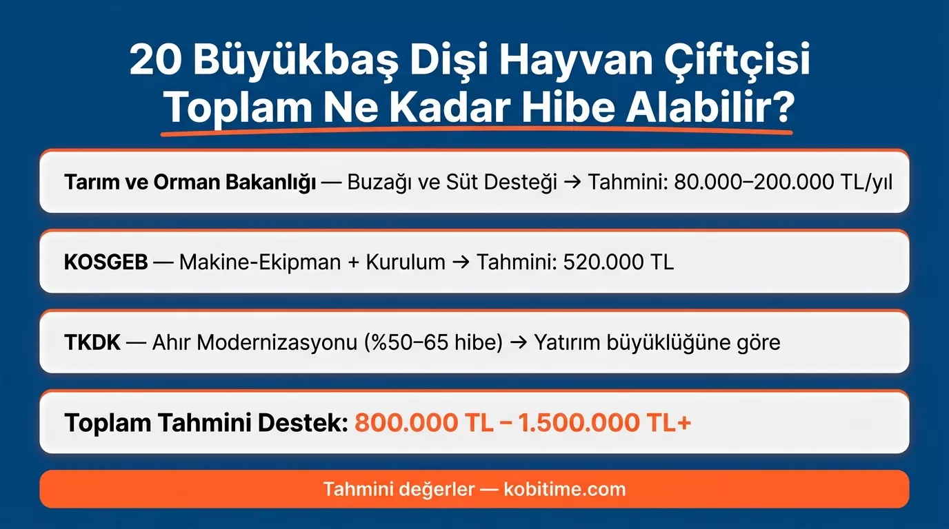 20 büyükbaşlı kadın çiftçi için Tarım Bakanlığı, KOSGEB ve TKDK destekleriyle ulaşılabilecek tahmini toplam hibe tutarı
