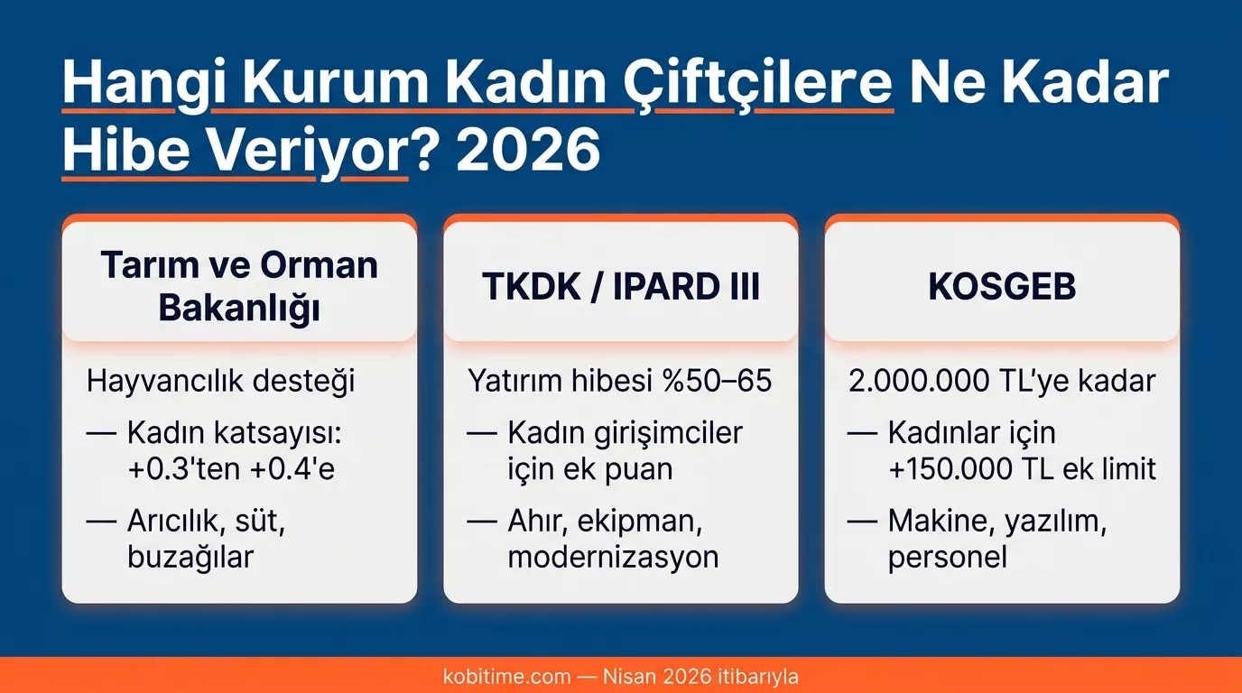 Kadın girişimci hayvancılık hibesi için Tarım Bakanlığı, TKDK ve KOSGEB karşılaştırması 2026
