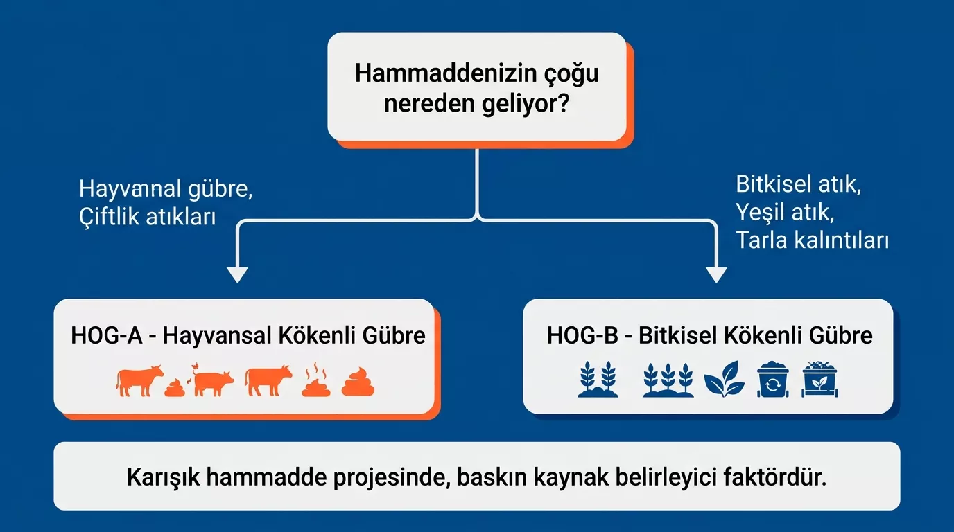 KKYDP HOG-A ve HOG-B konu kodu seçimi karar ağacı infografik