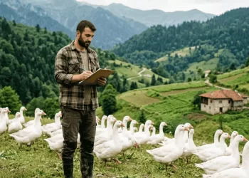 TKDK kaz çiftliği hibe desteği 2026 — genç çiftçi açık alanda kaz sürüsünü izliyor IPARD III M1 tedbiri kanatlı hayvan yetiştiriciliği başvuru rehberi